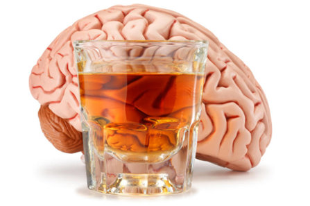 Brain and alcohol