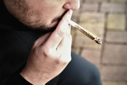 Дали марихуаната предизвикува зависност?